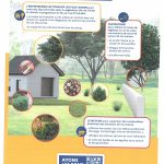 FLYER 3