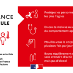 CANICULE